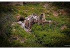 Les sources en eau potable à Ain Taoujdat entre pollution et sécheresse, les enjeux et les défis pour un développement durable