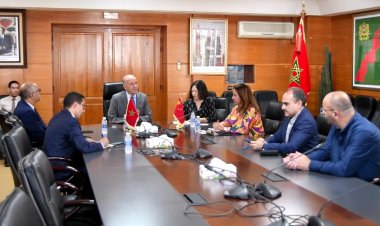 L'USMBA et l'institut chinois Confucius de Rabat: vers de nouveaux projets pour la promotion du tourisme à Fès