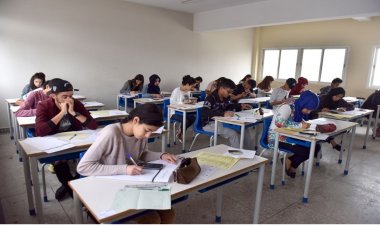 Excellents résultats au baccalauréat 2025 dans la région Tanger Tétouan Al Hoceima : une dynamique éducative en consolidation